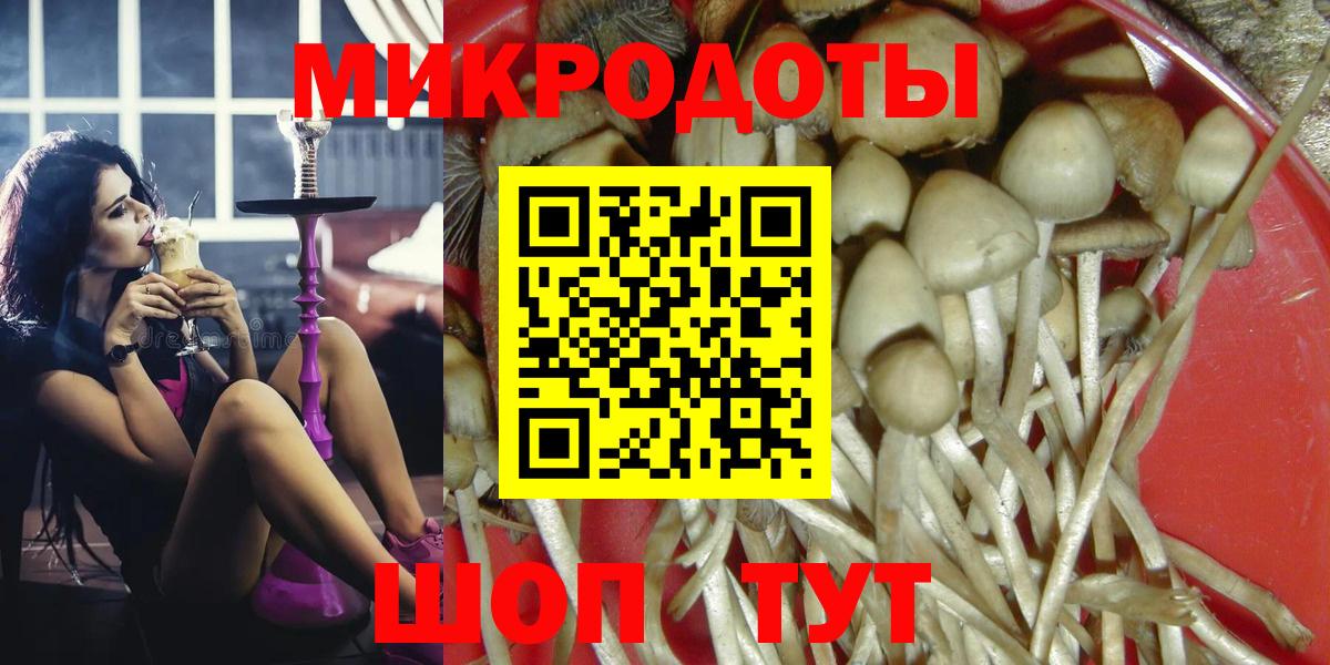 Псилоцибиновые грибы GOLDEN TEACHER Урус-Мартан